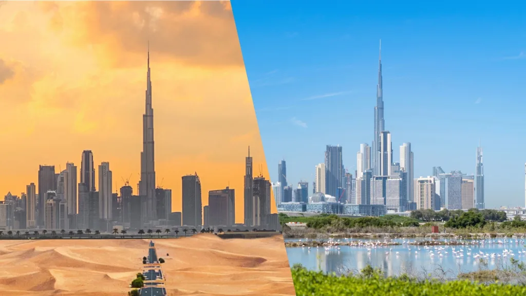 JVC vs Dubai Hills